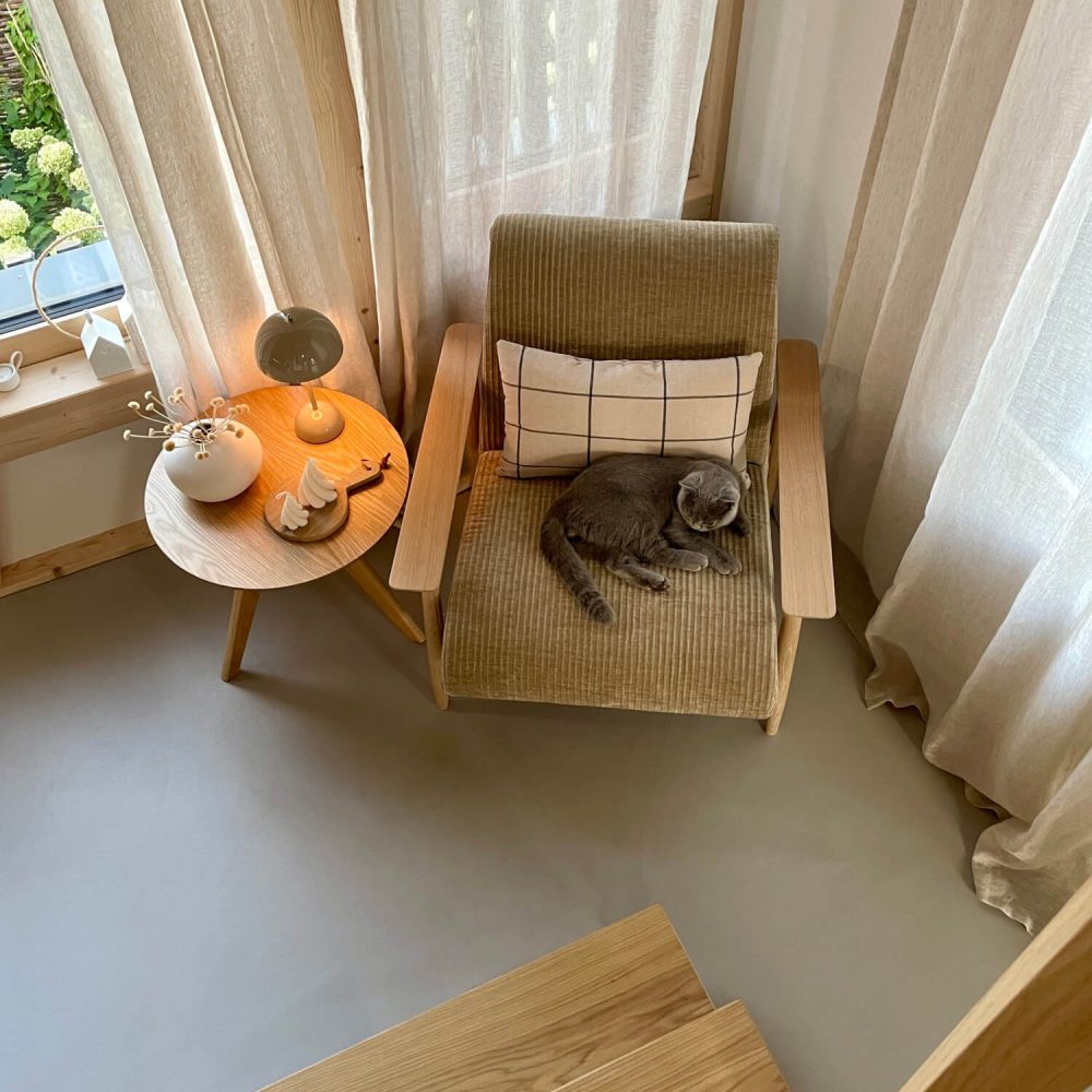 eine Katze auf einem Sessel